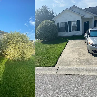 Landscape Company in West Columbia, SC Landscape Company in West Columbia, SC