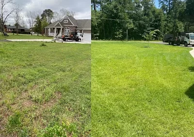 Landscaping Contractor