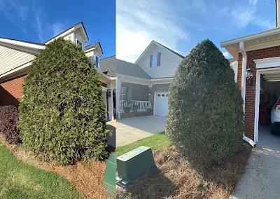 Landscaping Services