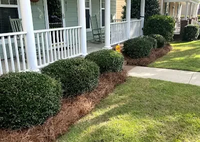 Landscaping Services