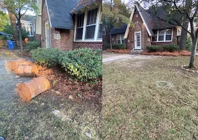 Landscaping Services