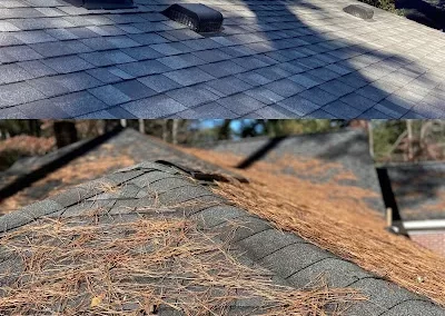 Landscaping Services