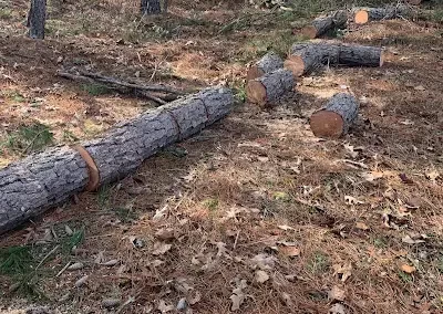 Landscaping Services
