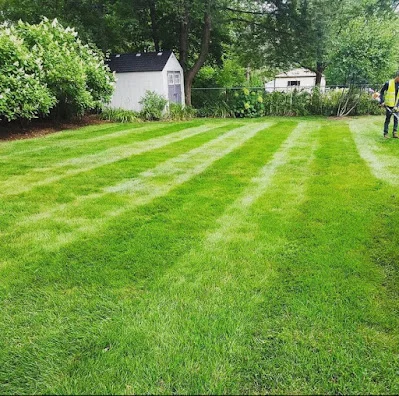 Lawn Maintenance