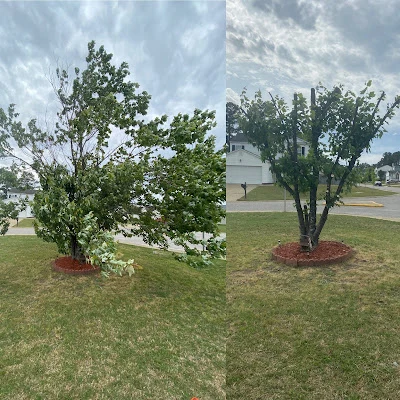 Reliable Landscape Company