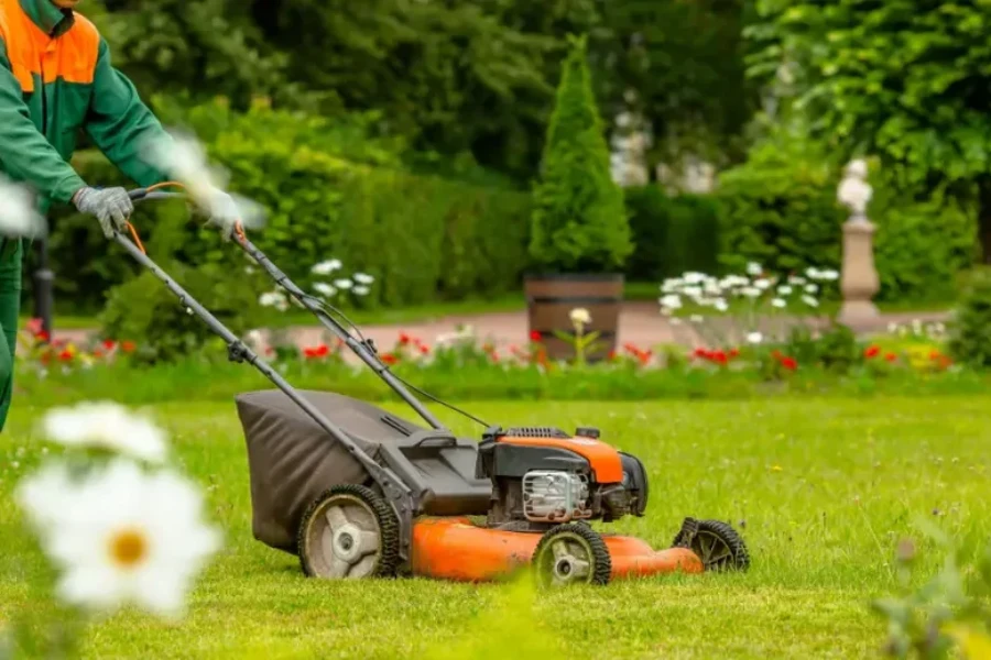 Affordable Lawn Maintenance West Columbia, SC