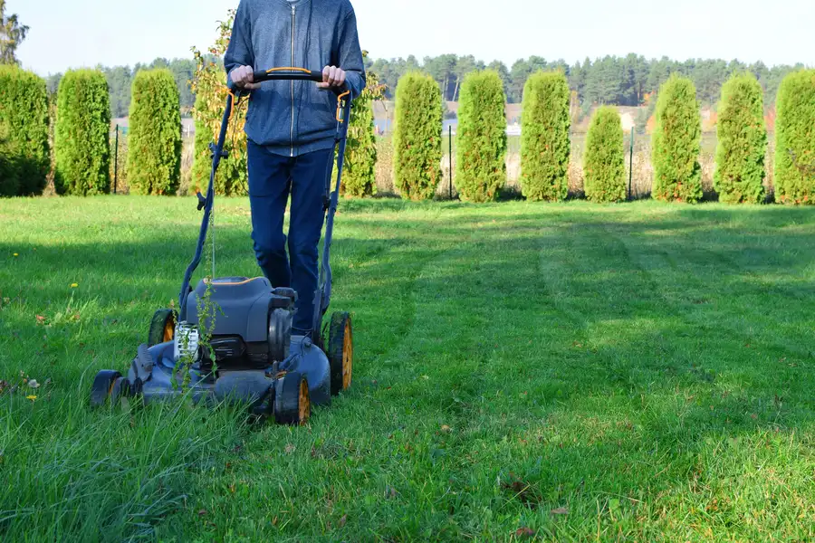 Common Lawn Cutting Mistakes That Harm Grass Quality West Columbia, SC