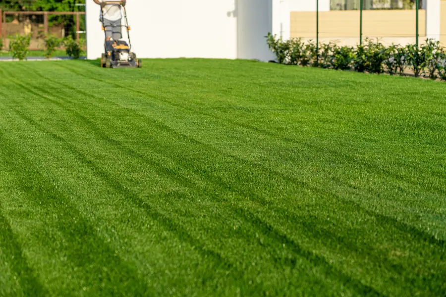 Common Lawn Cutting Mistakes That Harm Grass Quality in West Columbia, SC