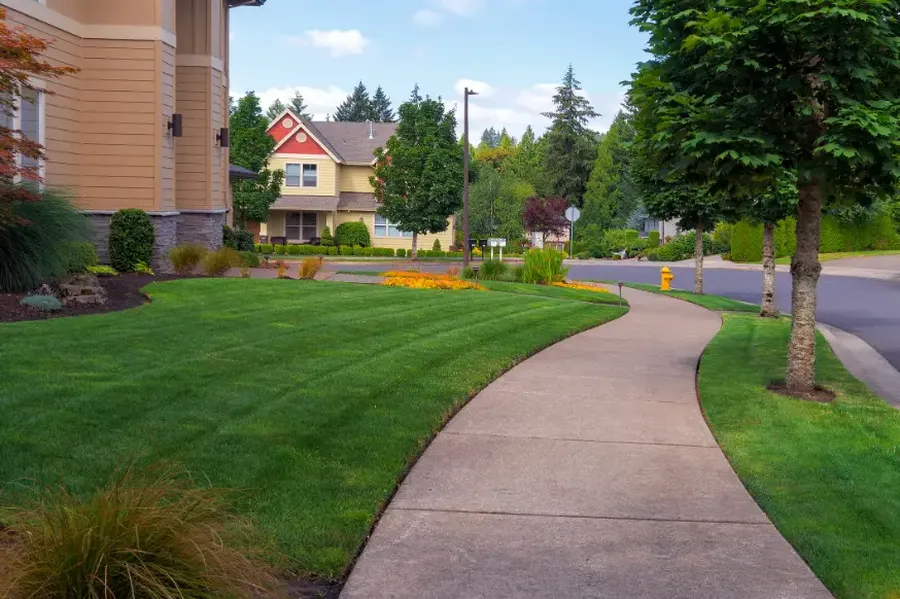 Common Lawn Issues And How Proper Maintenance Resolves Them in West Columbia, SC