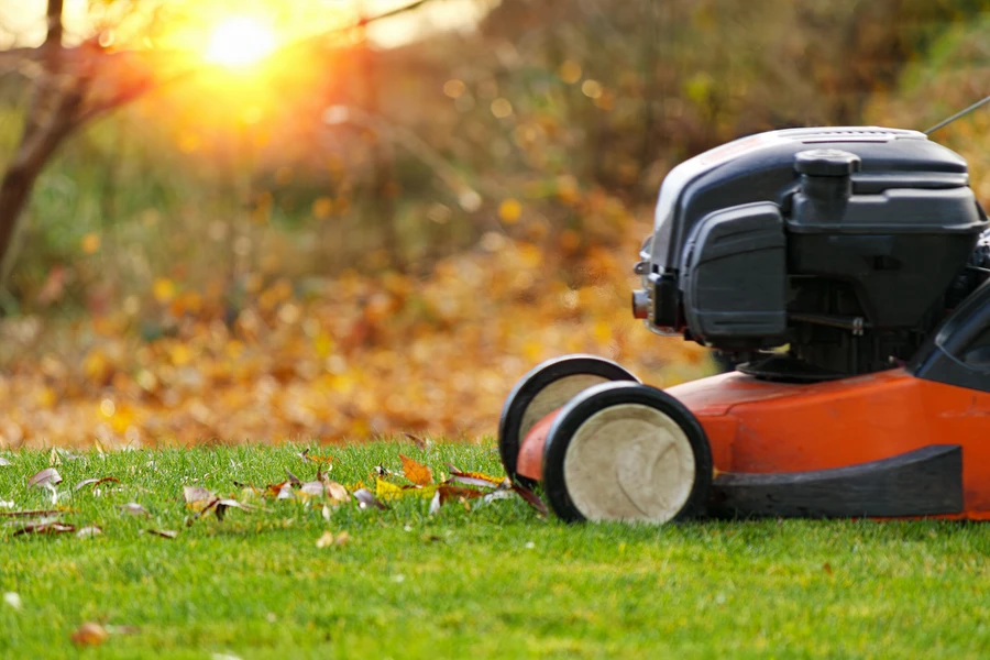 Essential Tips For Choosing A Reliable Lawn Care Service in West Columbia, SC