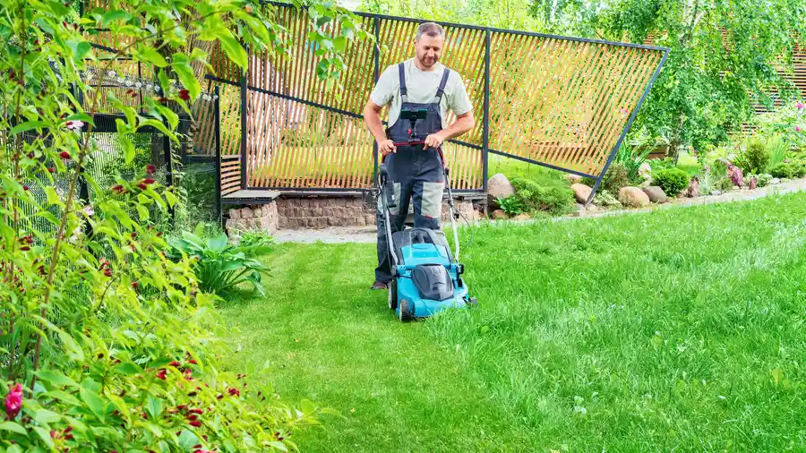 Experienced Lawn Cutting Service West Columbia, SC
