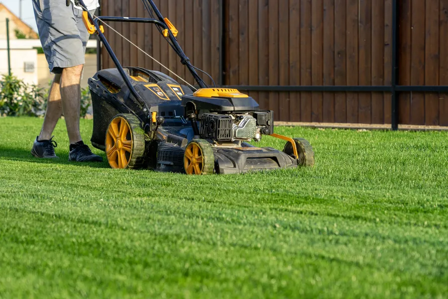 How Professional Lawn Cutting Prevents Weed Growth West Columbia, SC