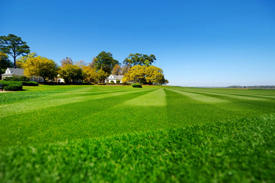 How To Achieve A Perfectly Manicured Lawn With Expert Help in West Columbia, SC