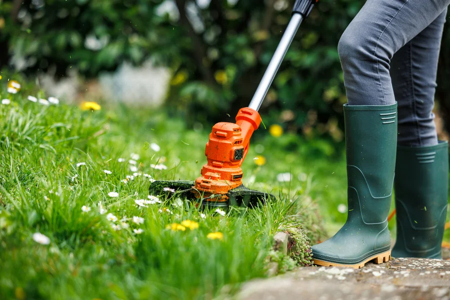 Premium Lawn Care Service West Columbia, SC