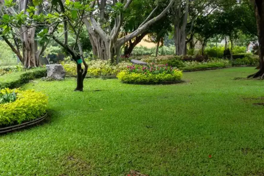 Preparing Your Lawn For Changing Weather Conditions West Columbia, SC