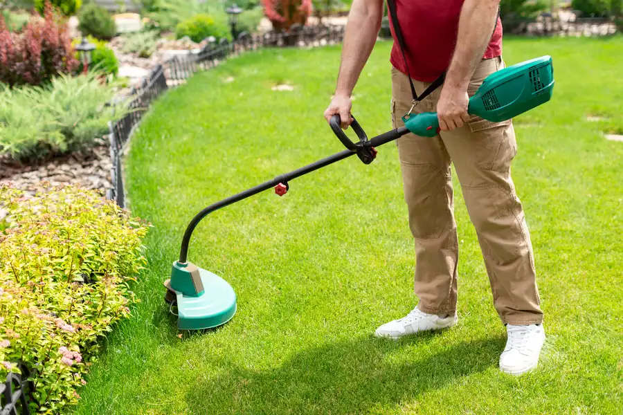 Quality Lawn Care Service West Columbia, SC