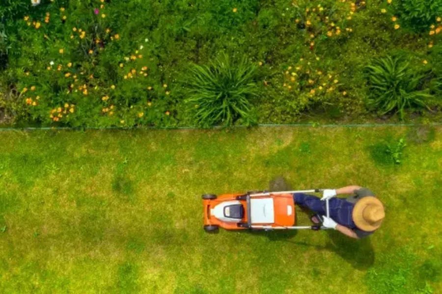 Reliable Lawn Maintenance West Columbia, SC