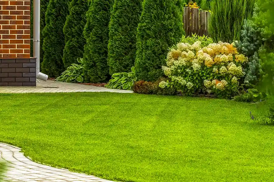Reputable Lawn Care Service West Columbia, SC